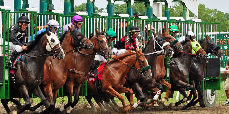 7659508712_a34d96bb1b_c